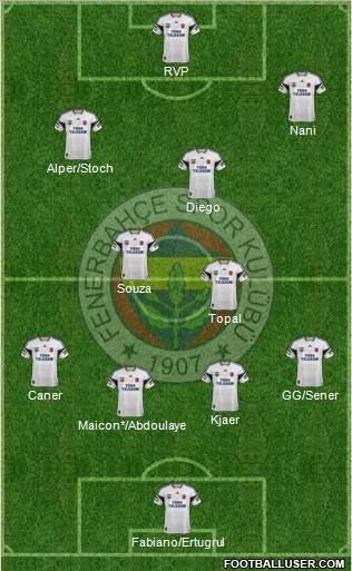Fenerbahçe SK Formation 2015