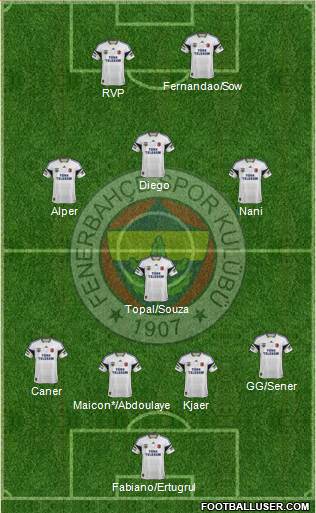 Fenerbahçe SK Formation 2015