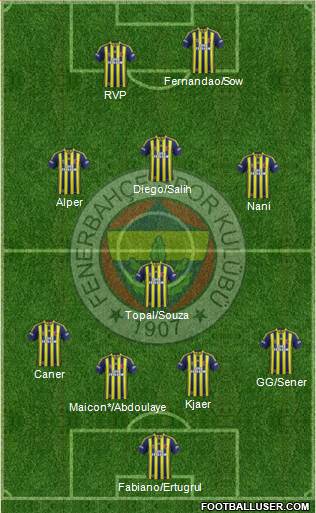 Fenerbahçe SK Formation 2015