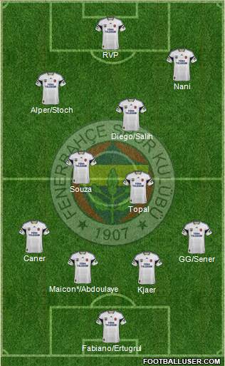 Fenerbahçe SK Formation 2015