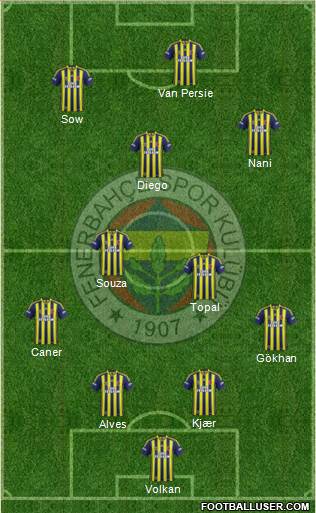 Fenerbahçe SK Formation 2015
