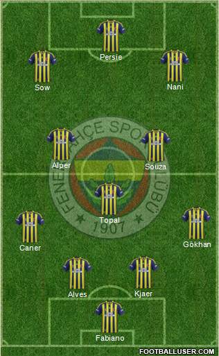 Fenerbahçe SK Formation 2015
