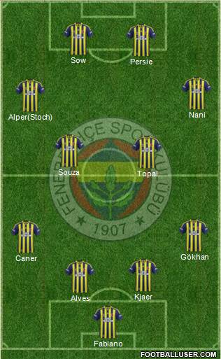 Fenerbahçe SK Formation 2015