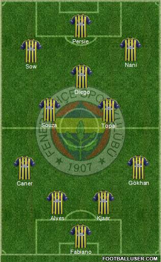 Fenerbahçe SK Formation 2015