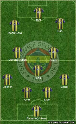 Fenerbahçe SK Formation 2015