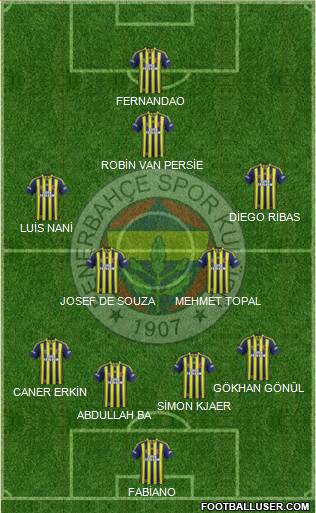 Fenerbahçe SK Formation 2015