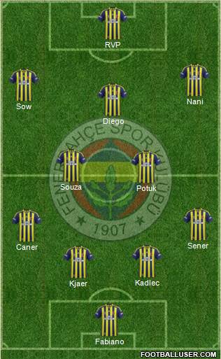 Fenerbahçe SK Formation 2015