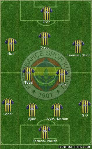 Fenerbahçe SK Formation 2015