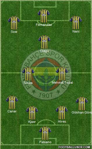 Fenerbahçe SK Formation 2015