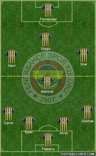 Fenerbahçe SK Formation 2015