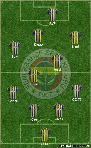 Fenerbahçe SK Formation 2015