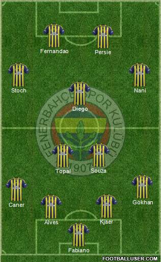 Fenerbahçe SK Formation 2015