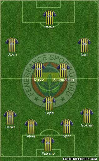 Fenerbahçe SK Formation 2015