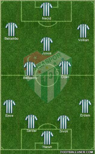 Bursaspor Formation 2015