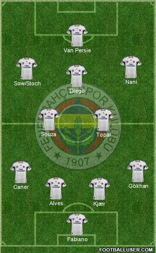Fenerbahçe SK Formation 2015