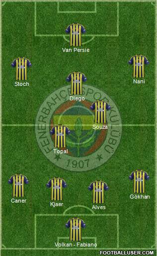 Fenerbahçe SK Formation 2015