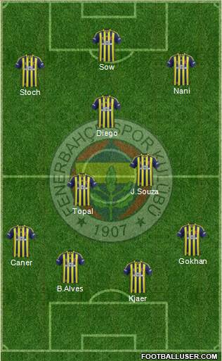 Fenerbahçe SK Formation 2015