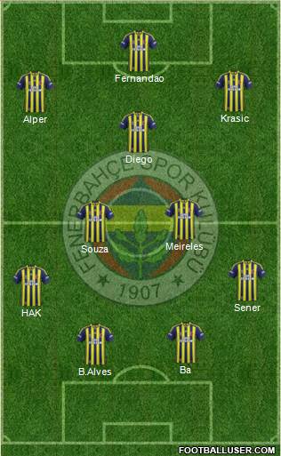 Fenerbahçe SK Formation 2015