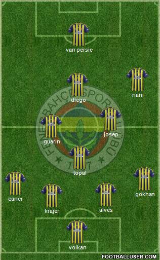 Fenerbahçe SK Formation 2015