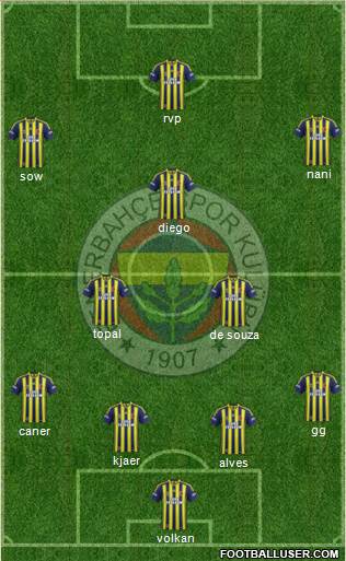 Fenerbahçe SK Formation 2015