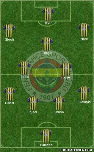 Fenerbahçe SK Formation 2015