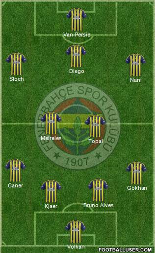 Fenerbahçe SK Formation 2015