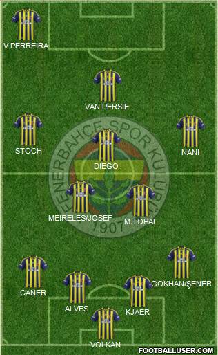 Fenerbahçe SK Formation 2015