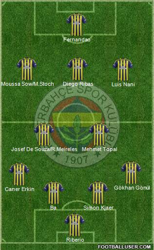 Fenerbahçe SK Formation 2015