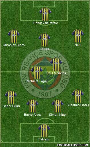 Fenerbahçe SK Formation 2015