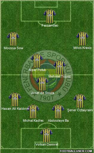 Fenerbahçe SK Formation 2015