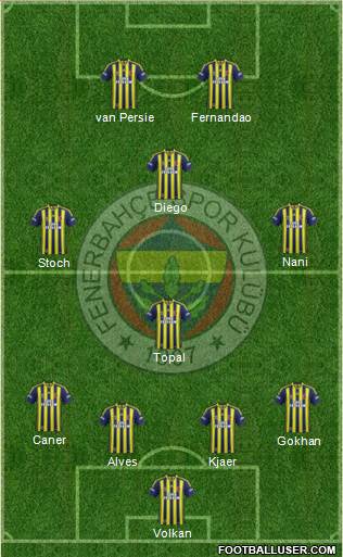 Fenerbahçe SK Formation 2015