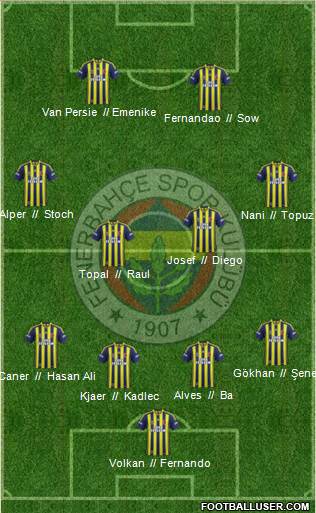Fenerbahçe SK Formation 2015