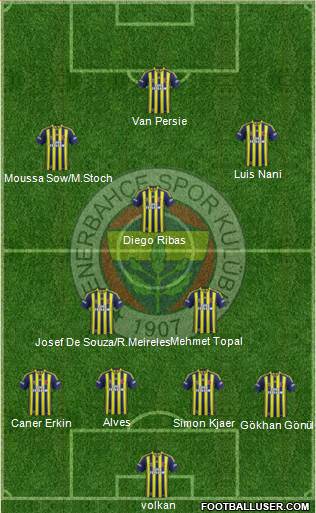 Fenerbahçe SK Formation 2015