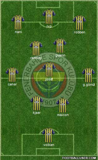 Fenerbahçe SK Formation 2015