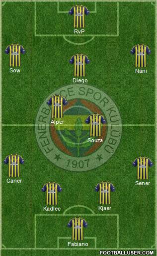 Fenerbahçe SK Formation 2015