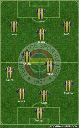 Fenerbahçe SK Formation 2015