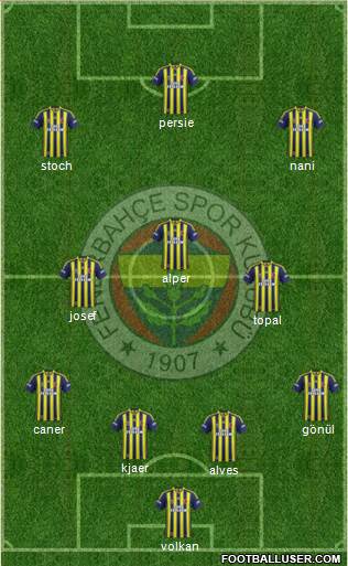 Fenerbahçe SK Formation 2015