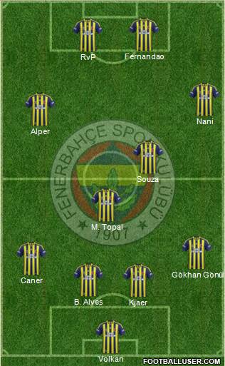 Fenerbahçe SK Formation 2015