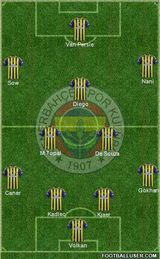 Fenerbahçe SK Formation 2015
