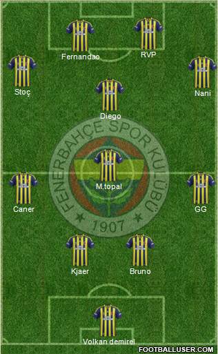 Fenerbahçe SK Formation 2015