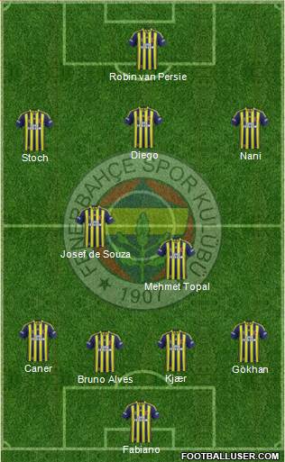 Fenerbahçe SK Formation 2015