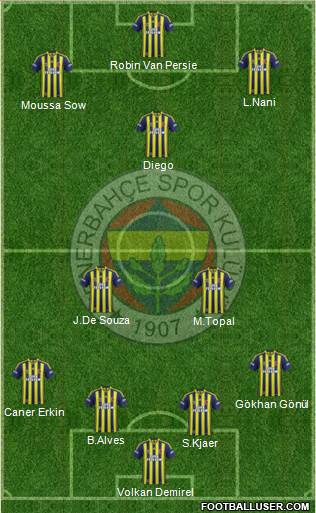 Fenerbahçe SK Formation 2015