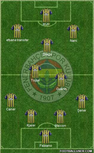 Fenerbahçe SK Formation 2015