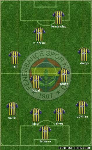 Fenerbahçe SK Formation 2015