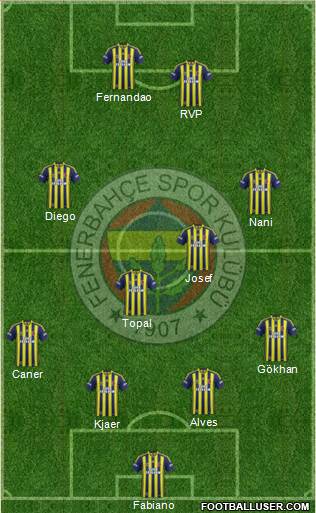 Fenerbahçe SK Formation 2015