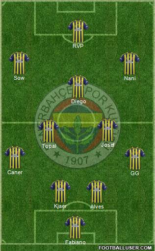 Fenerbahçe SK Formation 2015
