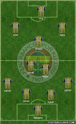Fenerbahçe SK Formation 2015