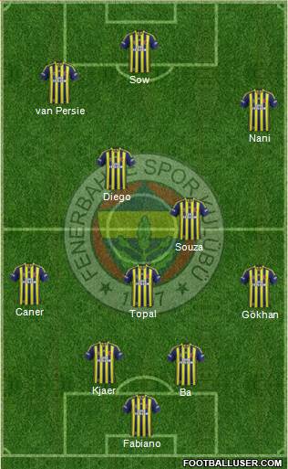 Fenerbahçe SK Formation 2015