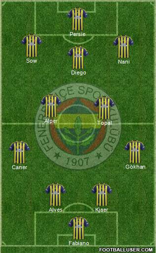 Fenerbahçe SK Formation 2015