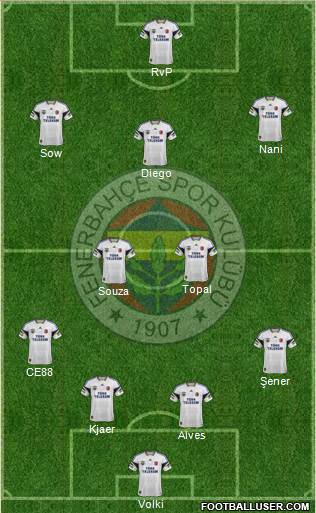Fenerbahçe SK Formation 2015